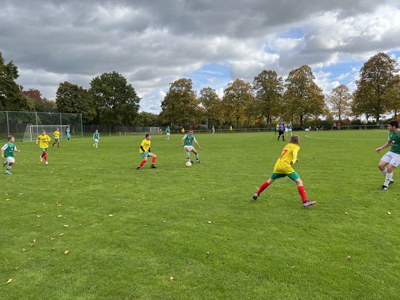 U14-SW5.jpg  