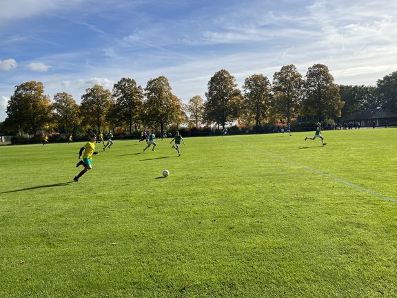 U14-SW1.jpg  