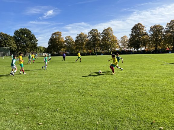 U14-SW2.jpg  